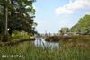 E Pierson Drive photo